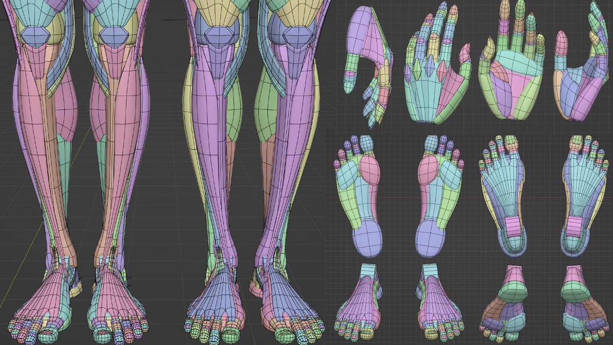 KRRK anatomy model 　  
「足とか」  
#Blender #3DCG #美術解剖学