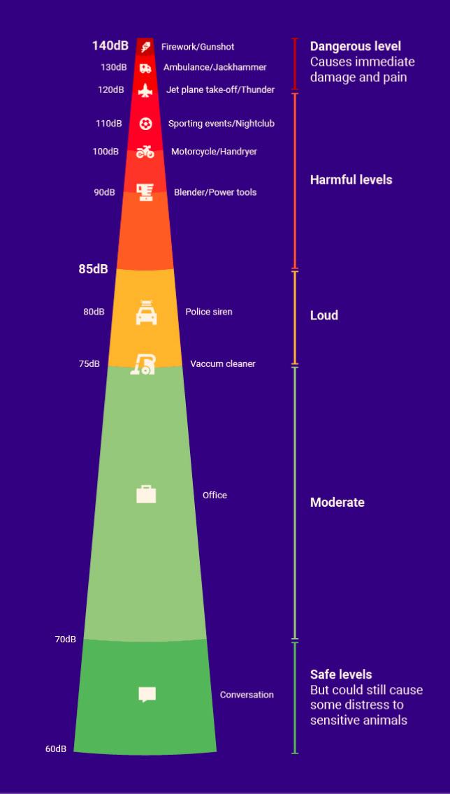 RSPCA South West London Branch tweet media