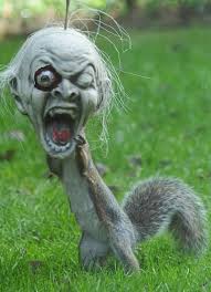 View from my Office tweet media