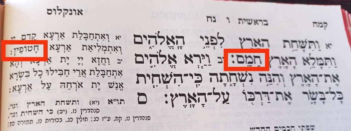 davidvertsman's tweet photo. מדהים עד כמה פרשת השבוע אקטואלית בכל פעם מחדש, הלוואי שיחזרו החטופים בקרוב! https://t.co/d2SQ6Eudlf