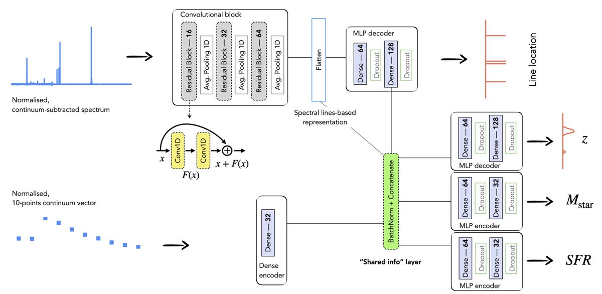 micginolfi's tweet photo. It’s my pleasure to introduce the M-TOPnet (Multi-Task network Outputting Probabilities) pipeline to you 😎🙃

"Measuring redshift and galaxy properties via a multi-task neural net with probabilistic outputs: an application to simulated MOONS spectra"

https://t.co/AlgCLXhAyu https://t.co/cE1Gay6uTm