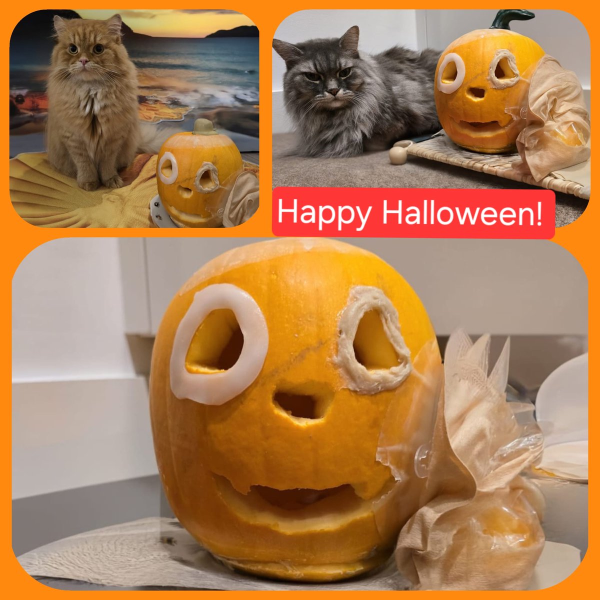 iPouchStomaTwin's tweet photo. Happy Halloween!

#ileostomy #ostomy #colostomy #stoma #stomanurse #urostomy #ostomyawareness #pouches #jpouch #pouch #pouchnurse #spouch #wpouch #ipaa #ipouch #Halloween #spooky #happyhalloween

https://t.co/bj4YKnoj9m https://t.co/PJXfgCjLS4