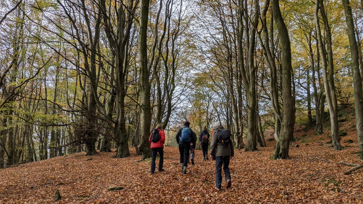 We had a grand day out to Benarty Hill in Fife last weekend, with 16 walkers in all.  Lots of good chat, autumnal woodlands and a great view from the top.  Our next day walk will be in November - for details, keep an eye on facebook.com/redropescotland