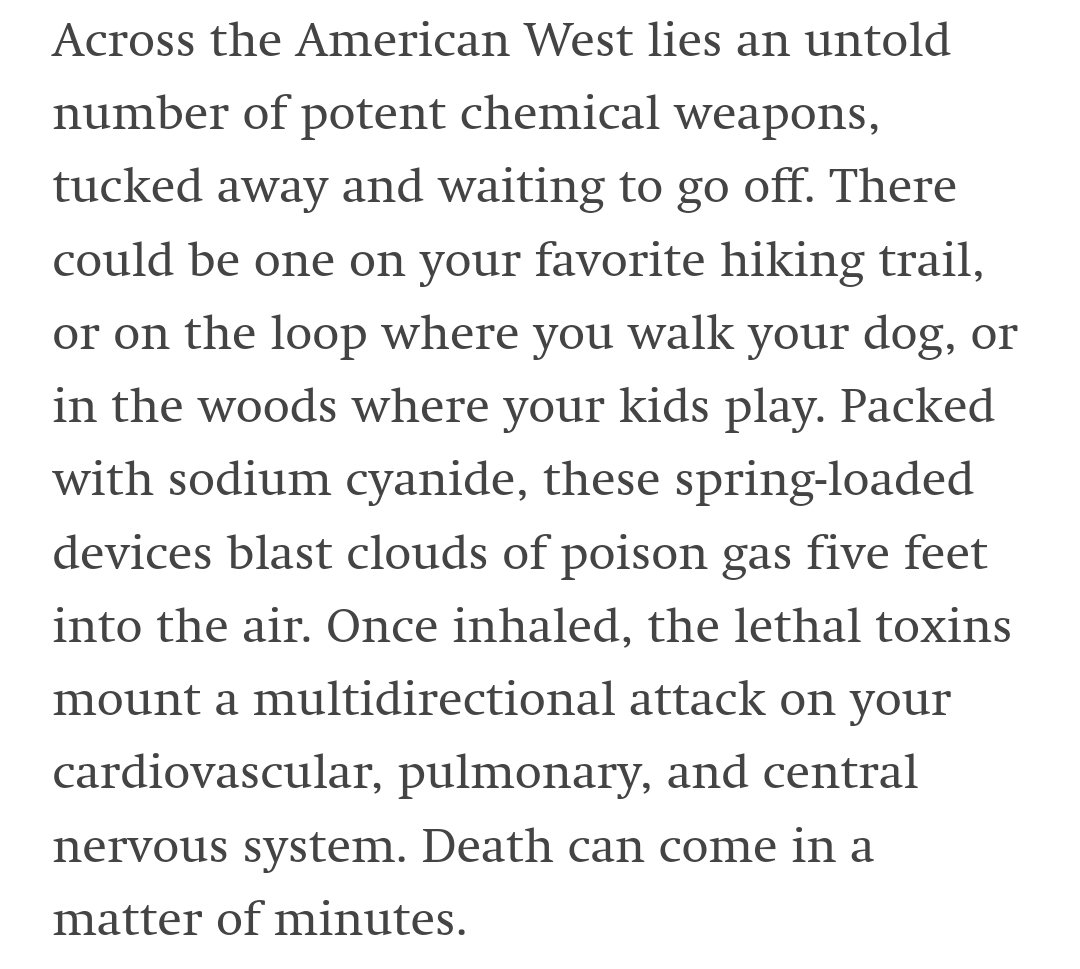 these people are literal demons. how and why did anyone think this was acceptable