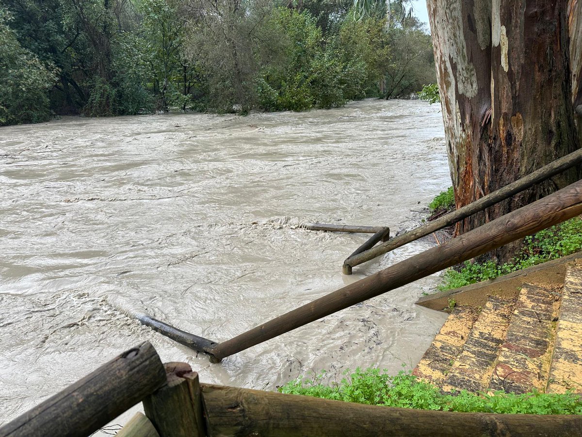 Palomaglez95's tweet photo. Nunca he visto el río Guadaíra así por el Parque Oromana. Según mi padre, es que soy "mu chica" y he visto llover poco 🤷🏻‍♀️
A mí me parece impresionante. 

Sigue lloviendo con intensidad en Alcalá, seguirá subiendo. https://t.co/T61WojK7tj