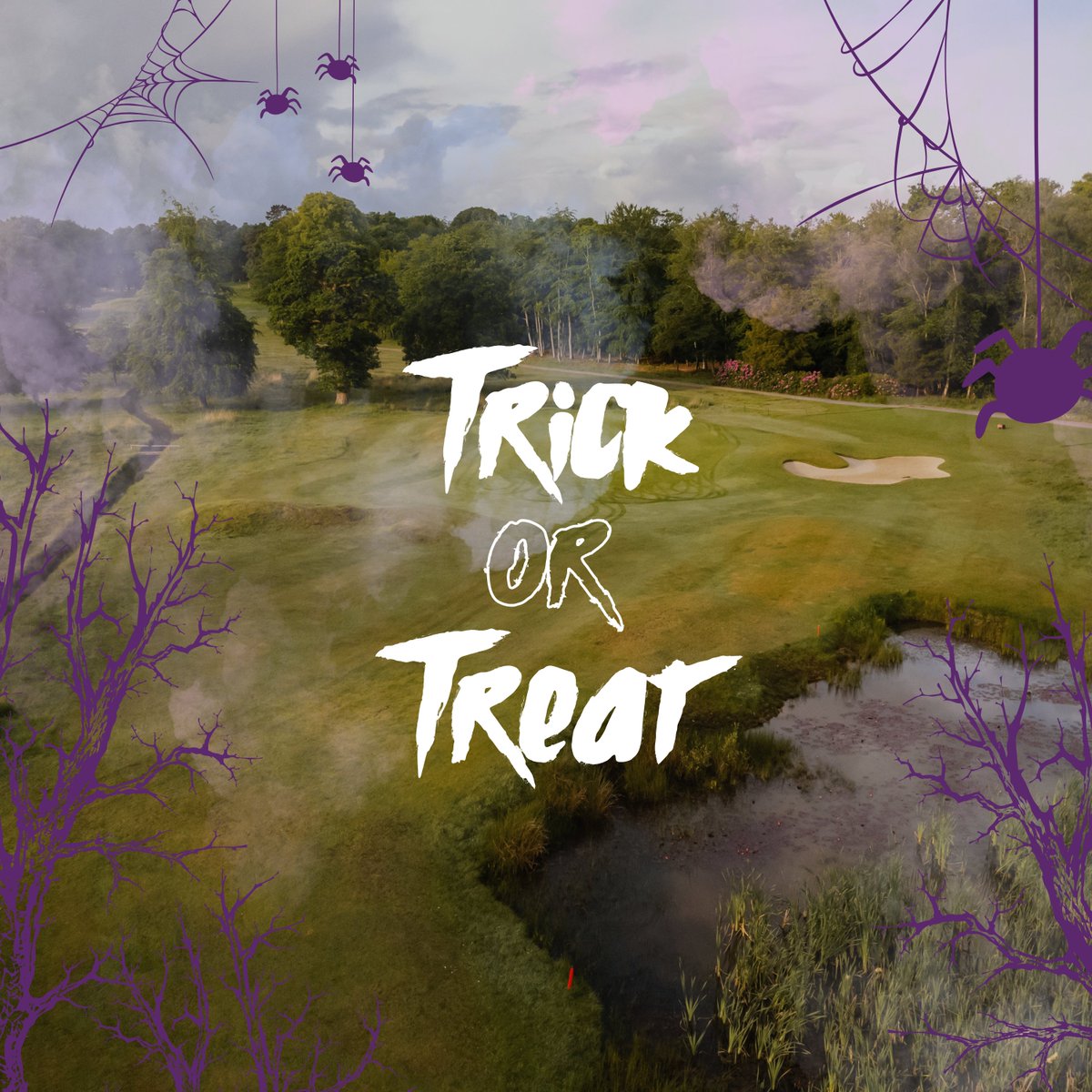 Brokenhurst Manor Golf Club tweet media