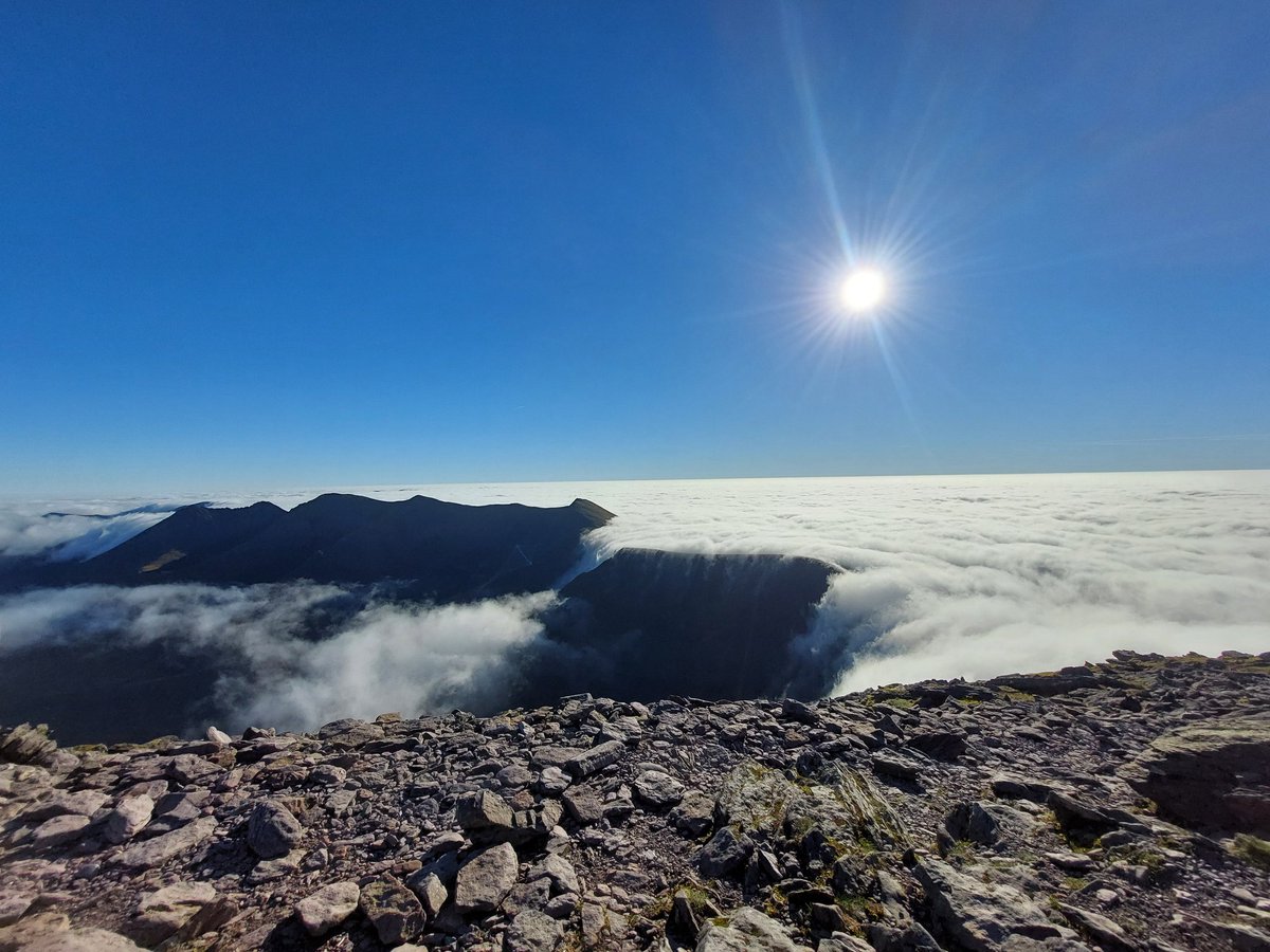 Brian 🦁'Callaghan tweet media