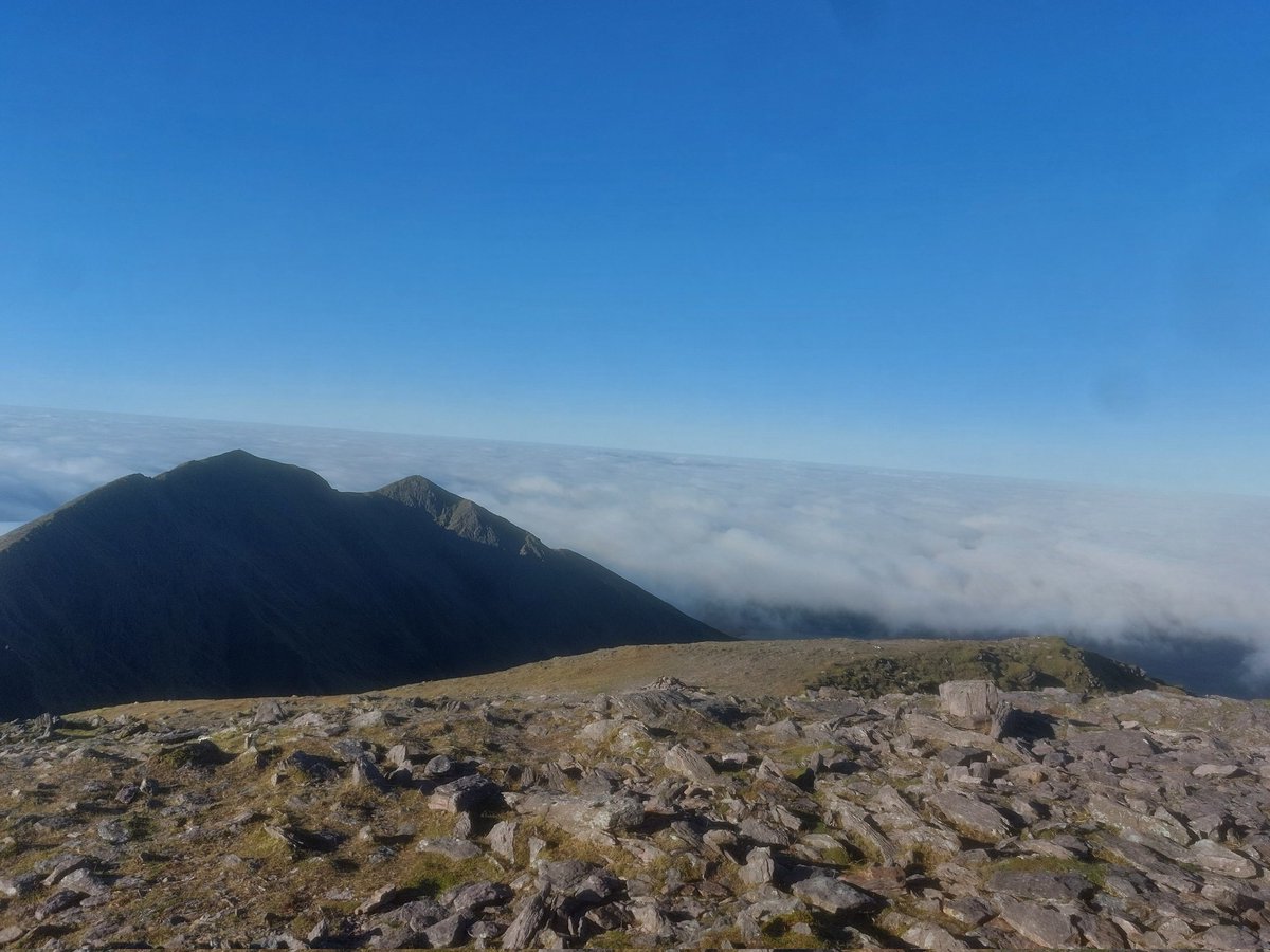 Brian 🦁'Callaghan tweet media