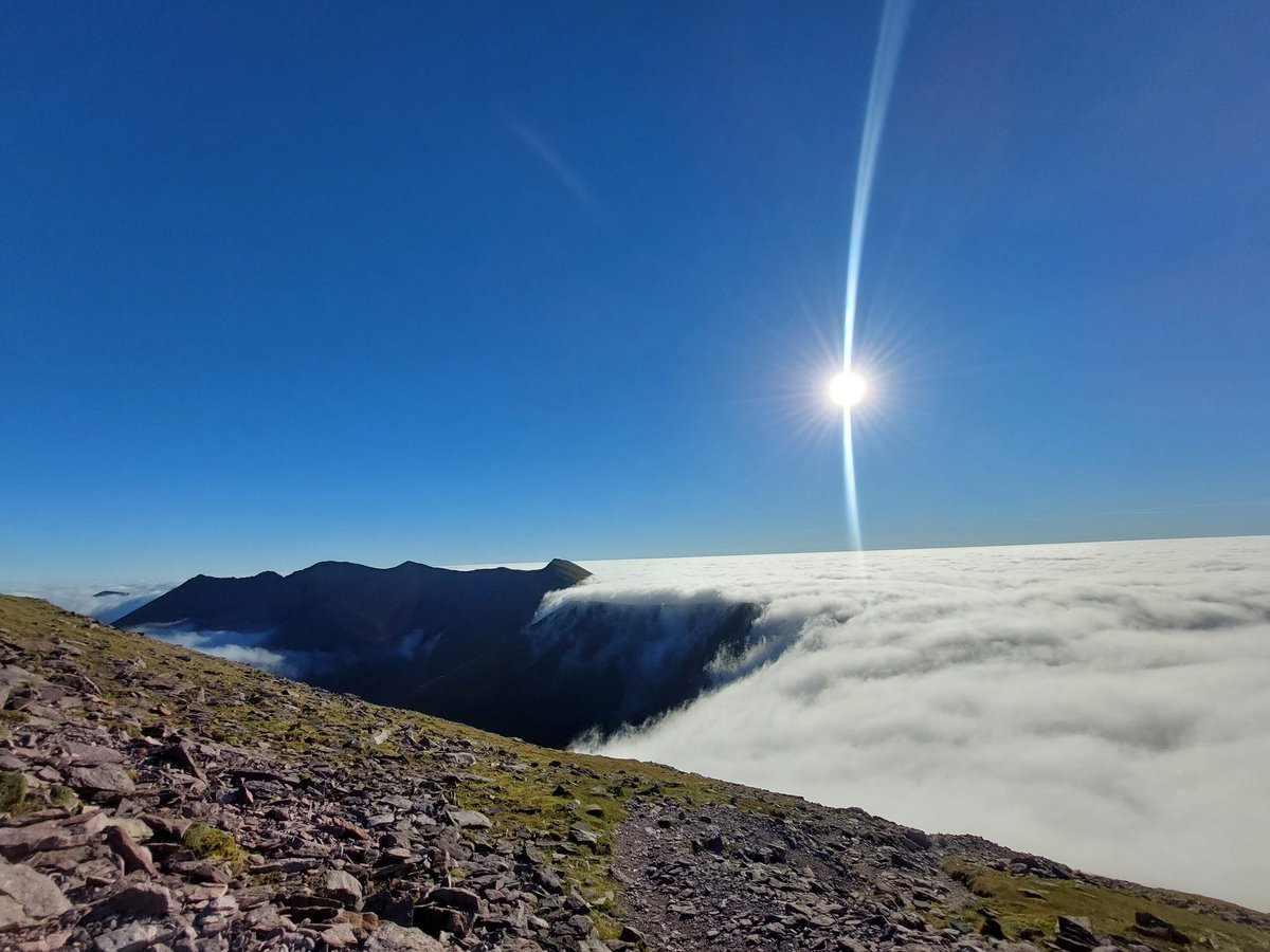 Brian 🦁'Callaghan tweet media