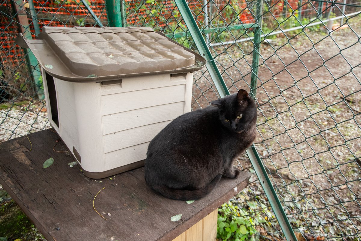 🐈 Porte aperte al gattile, cinque giorni per conoscere da vicino i piccoli ospiti

Una nuova ‘Open week’ in programma dal 4 all’8 novembre, in orario dalle 9 alle 12. Parteciperanno anche le scuole

👉 shorturl.at/ApjFb