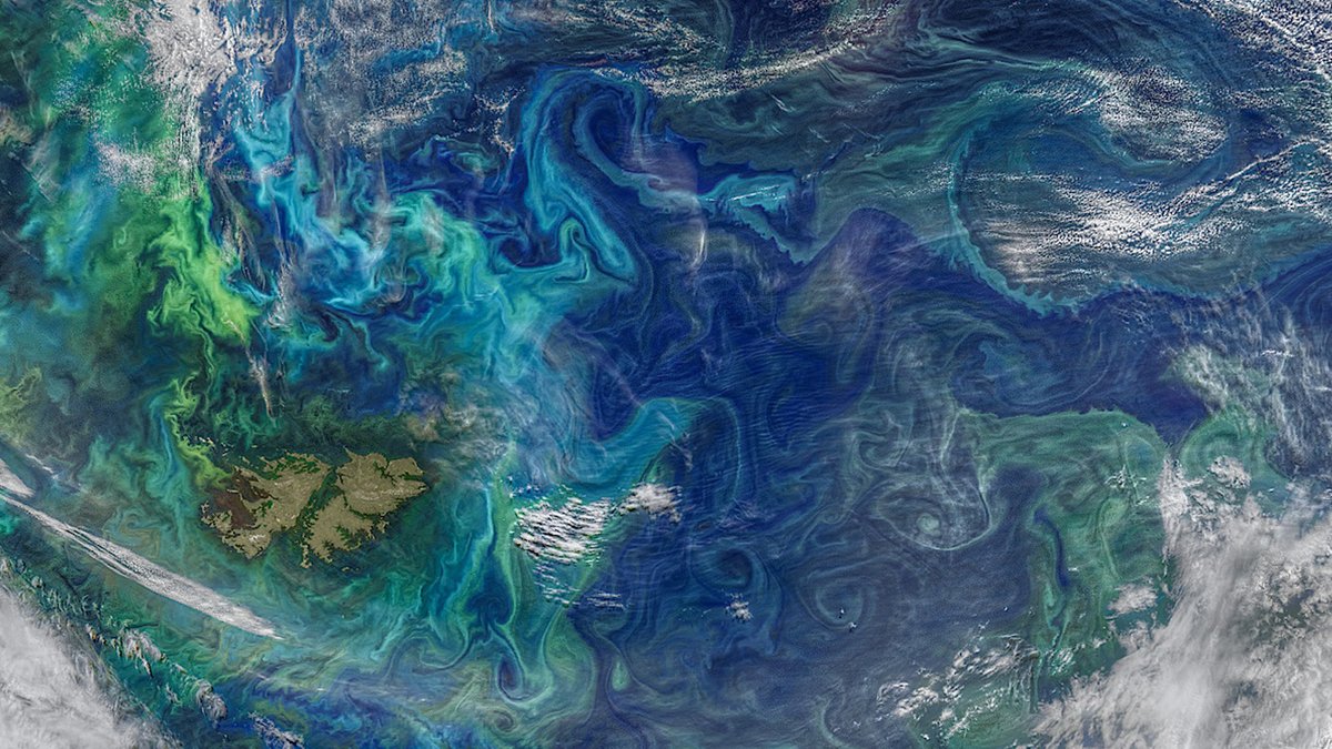 How will carbon dioxide removal technologies influence marine life? Exciting #PhD opportunity with <a href="/marineresplym/">Marine Research Plymouth</a> to study the response of marine algae to #ocean alkalinity enhancement!

👉plymouth.ac.uk/study/research…

#MarineResearchPlymouth @GLWheeler2
