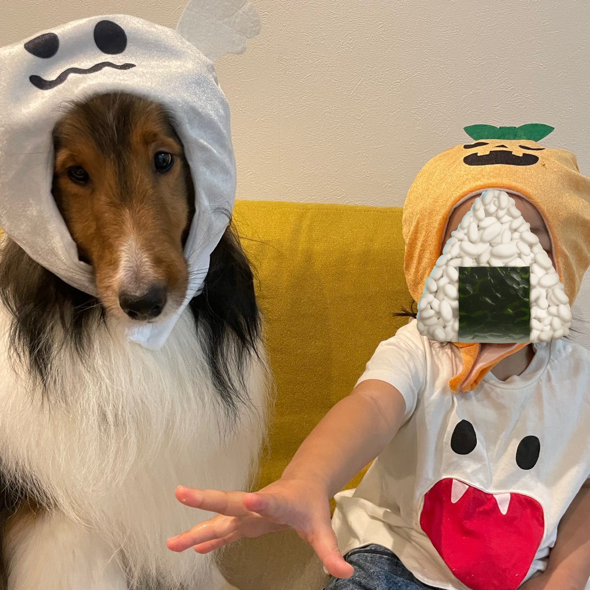 #HappyHalloween 

みかんで釣ってなんとか撮らせてもらった……ｾﾞｪﾊｧ……
