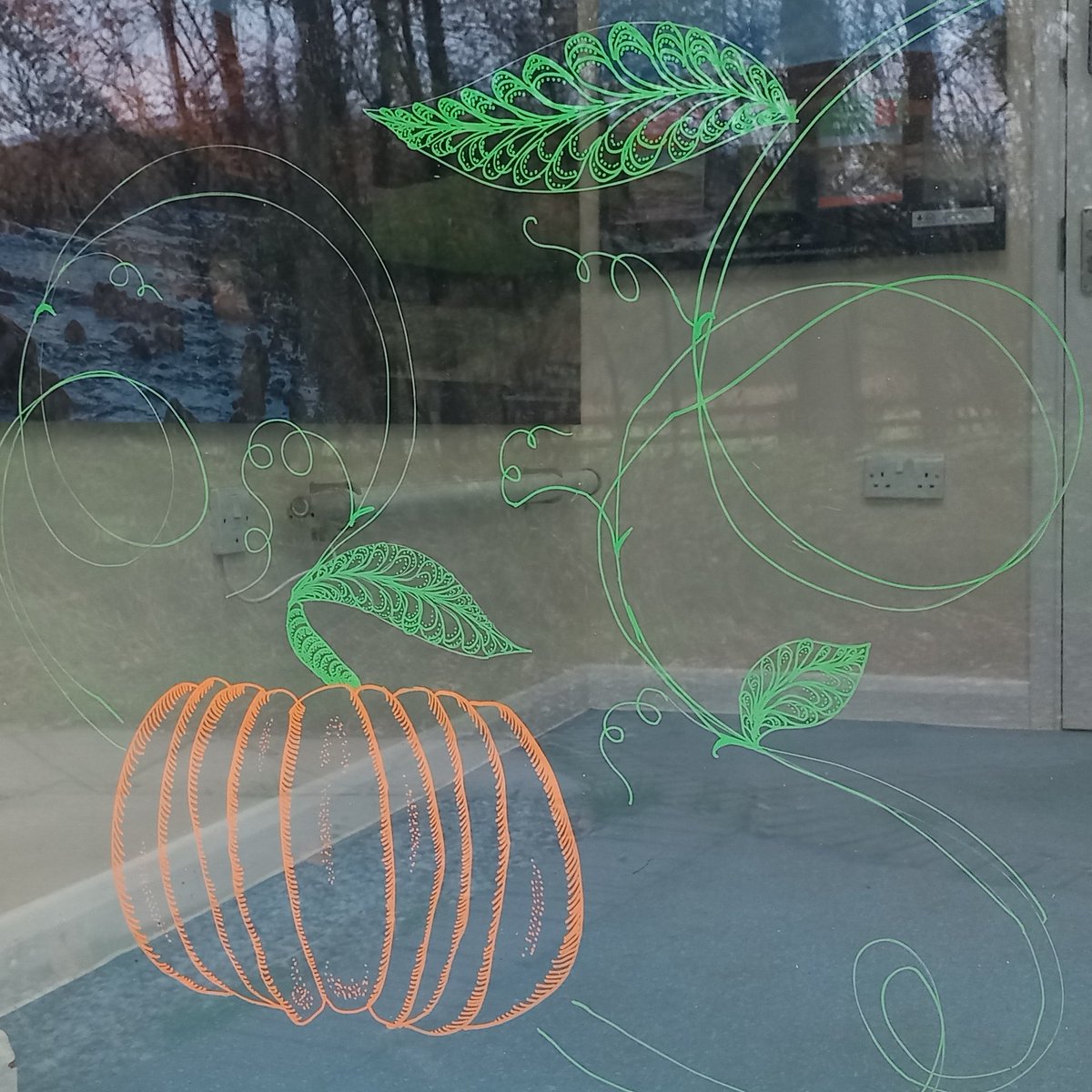 Happy Halloween! Abbi's been having fun creating a seasonal design on the Bulby's Wood Information Point window in the Breamish Valley.