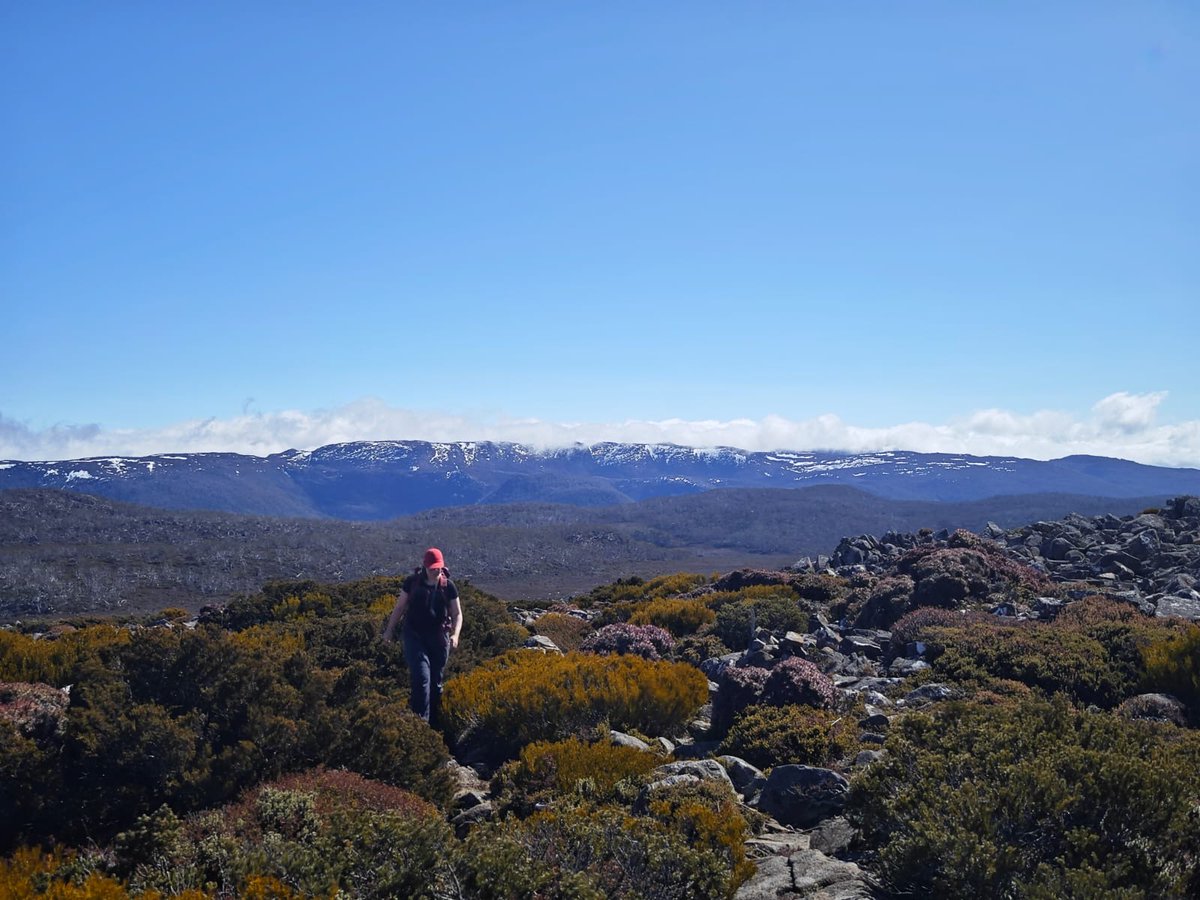 LydiaLMackenzie's tweet photo. Having a tough week? Try going on an alpine hike. Marvel at Tasmania’s beautiful glacial landscape. Hug a glacial erratic. Guaranteed to improve your week 🏔️🥾 https://t.co/oSh89KaN3X
