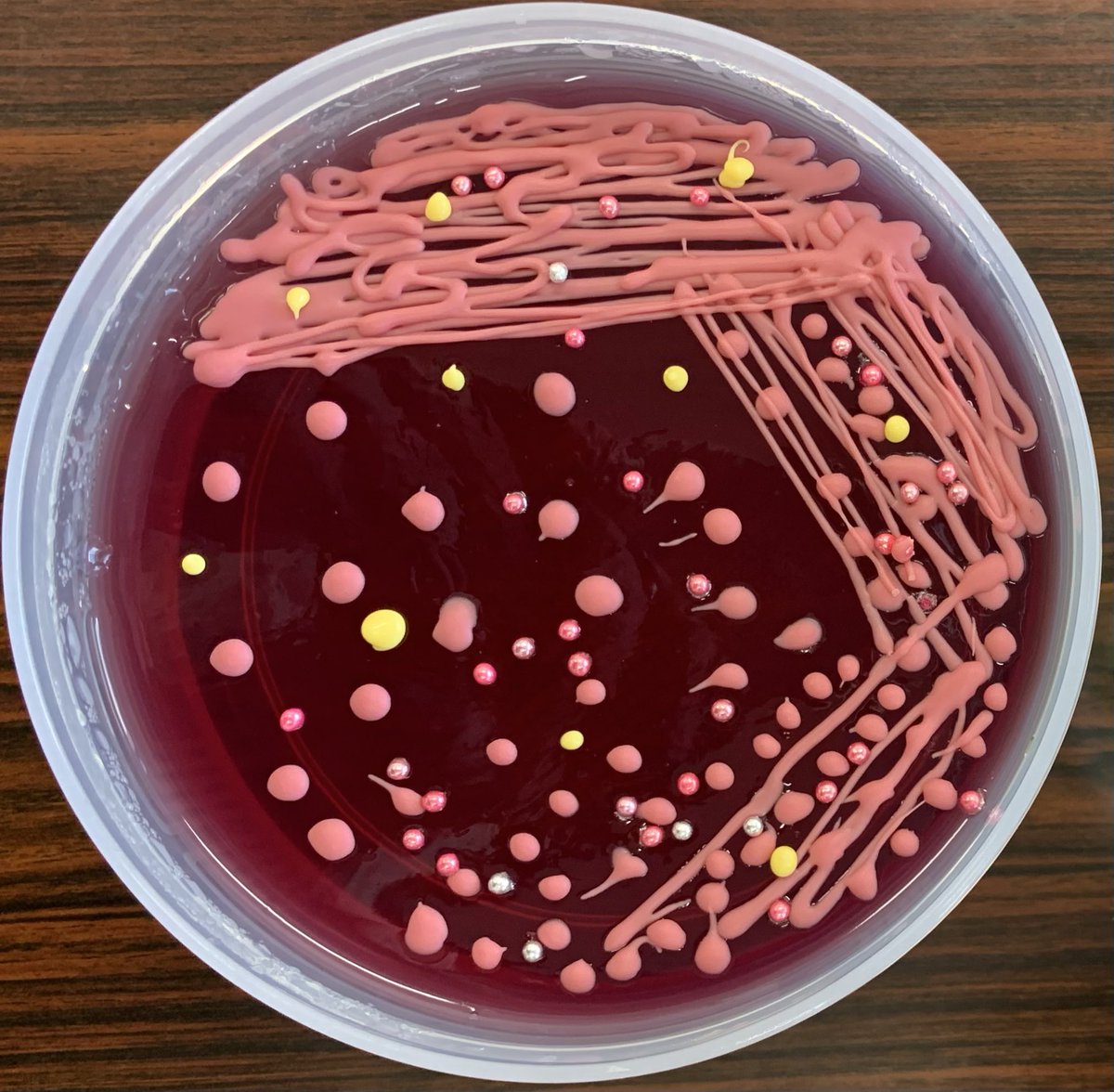 Wataru Hayashi / 林 航 tweet media