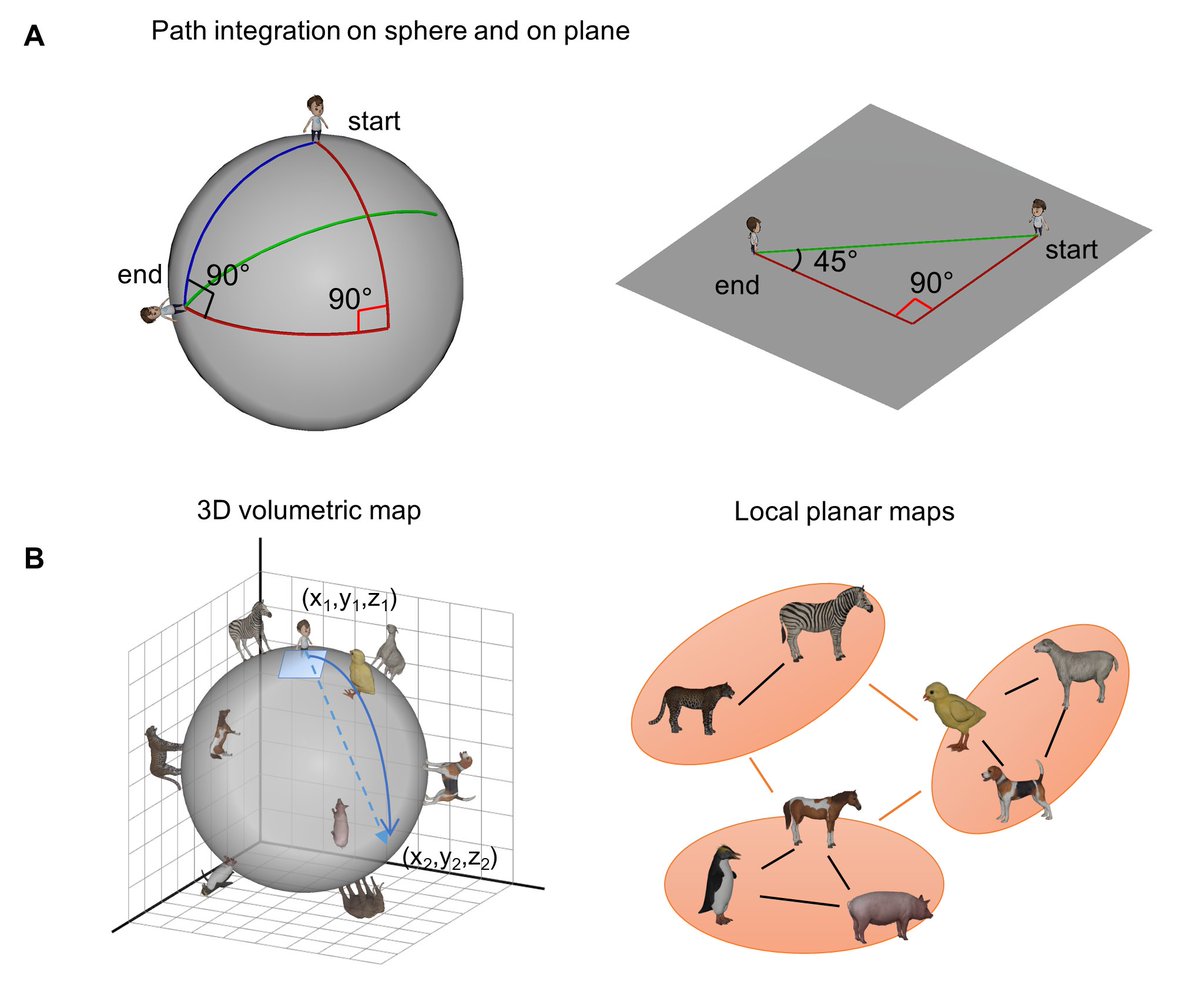 Misun Kim tweet media