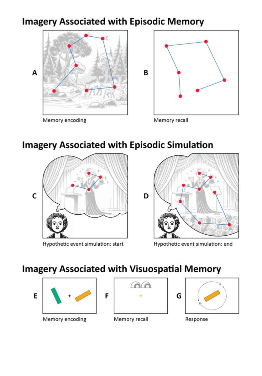 Great new review on the coupling of gaze behavior to visual imagery! doi.org/10.1016/j.neub…

By Korda, Walcher, Körner, and Benedek out in Neuroscience &amp; Biobehavioral Reviews!