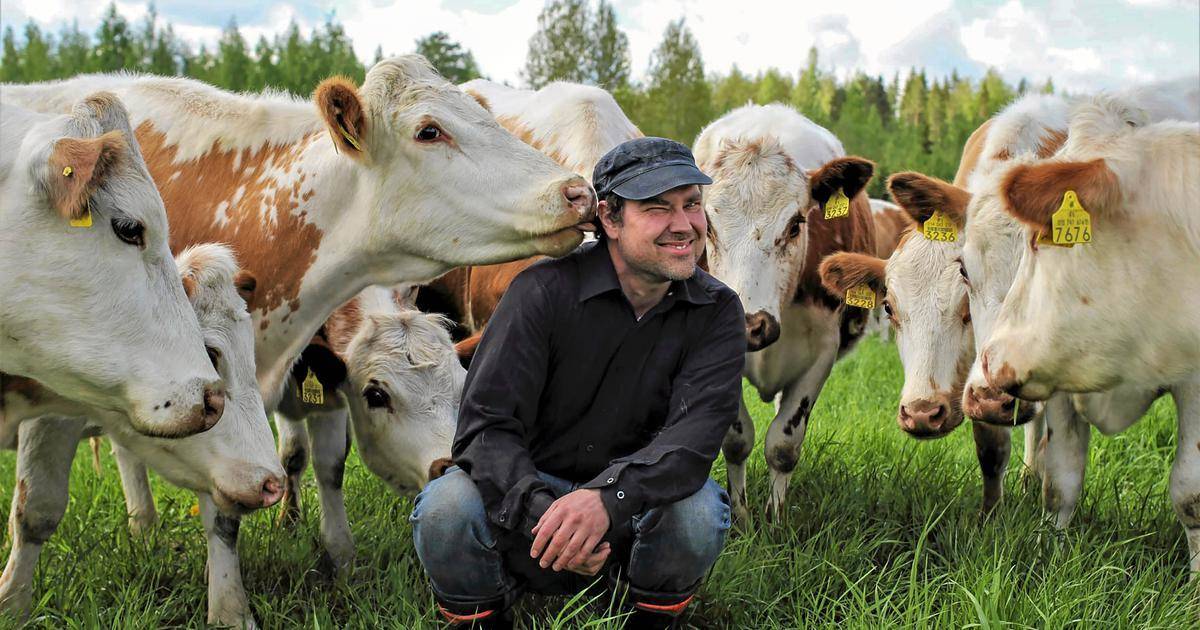 Juvan Lehti tweet media