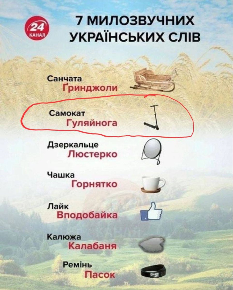 Sergey_Maluk's tweet photo. Гуляйнога - это пять! https://t.co/hTm8rhBLzr