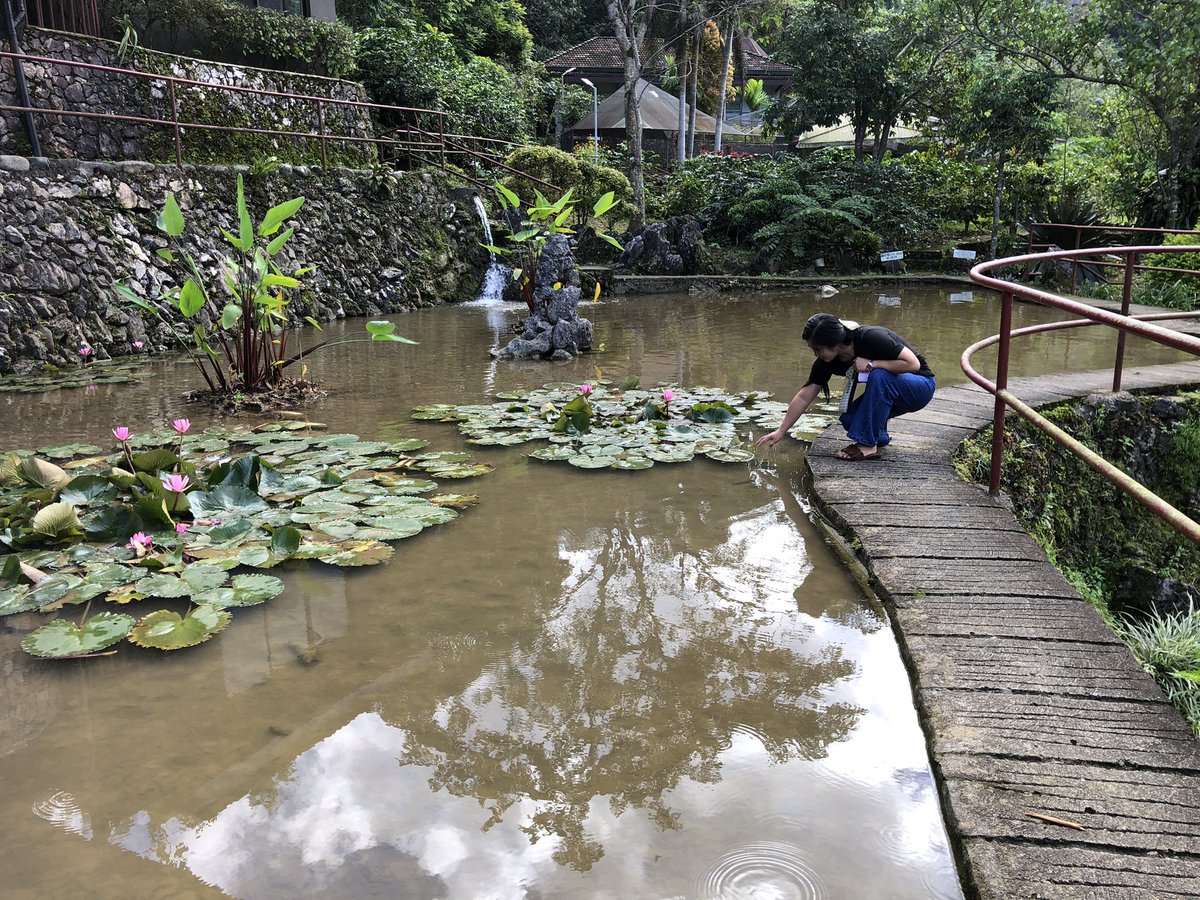 ShereenWillie's tweet photo. Be a lotus 🪷 that shines in someone’s life 
Be a light in darkness 
#beACandle https://t.co/oy0E1KHIhL