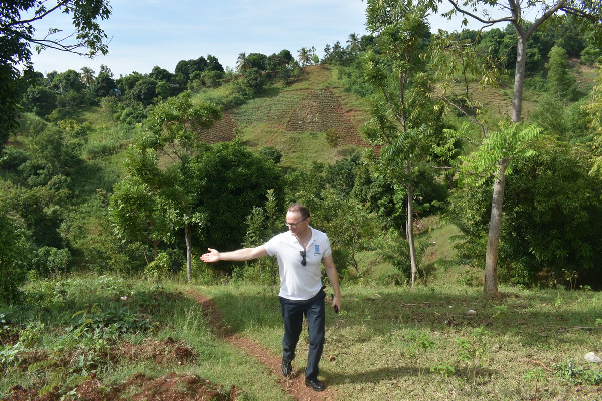 PNUD Haïti tweet media