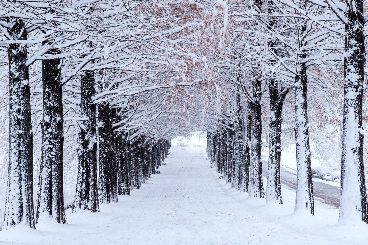 Faculty of Philosophy - University of Groningen (@wijsbegeerte) on Twitter photo ✨Join us for a new Winter School✨Climate Change and the Long-Term Future 🌍 a #PPE Winter School (online) <a href="/wijsbegeerte/">Faculty of Philosophy - University of Groningen</a> <a href="/univgroningen/">University of Groningen</a> 9-10 Jan '25. Free participation. View the program & speakers, the target group and how to register in the link⏬
rug.nl/filosofie/orga… ✨Join us for a new Winter School✨Climate Change and the Long-Term Future 🌍 a #PPE Winter School (online) <a href="/wijsbegeerte/">Faculty of Philosophy - University of Groningen</a> <a href="/univgroningen/">University of Groningen</a> 9-10 Jan '25. Free participation. View the program & speakers, the target group and how to register in the link⏬
rug.nl/filosofie/orga…
