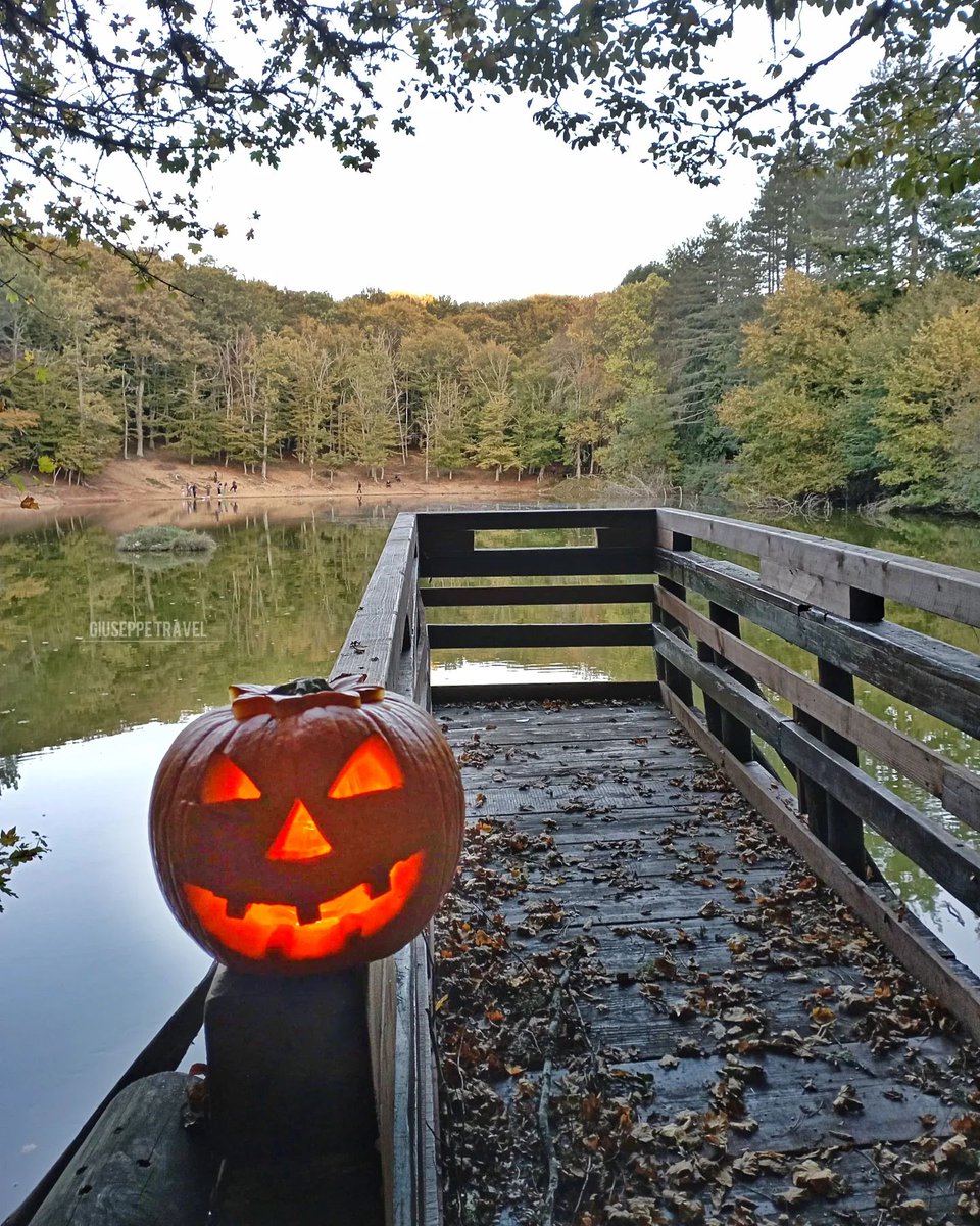 Trick or treat? 🙃🎃
Let's continue to enjoy autumn in Puglia: today we're taking a walk in the Umbra Forest 🍂

#WeAreinPUGLIA 

📸 <a href="/pepp/">pepp</a>.e256 <a href="/c/">c</a>.i.r_98