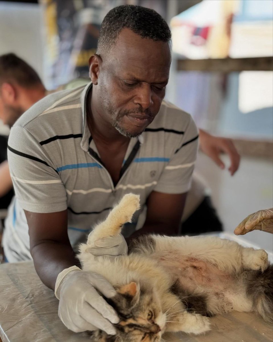 Labellefounded's tweet image. Anyone who knows me in real life or online knows how much I love animals and love treating and taking care of them. I had an idea, but I developed it into something that I raised my sons to love animals,  Please do consider helping by donating. paypal.com/donate?hosted_…