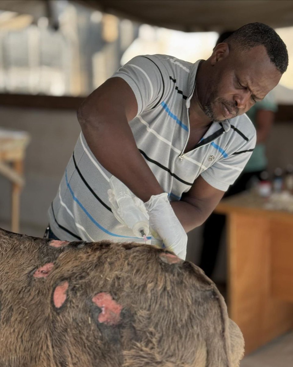 Labellefounded's tweet image. Anyone who knows me in real life or online knows how much I love animals and love treating and taking care of them. I had an idea, but I developed it into something that I raised my sons to love animals,  Please do consider helping by donating. paypal.com/donate?hosted_…