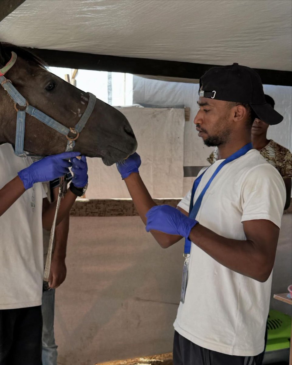 Labellefounded's tweet image. Anyone who knows me in real life or online knows how much I love animals and love treating and taking care of them. I had an idea, but I developed it into something that I raised my sons to love animals,  Please do consider helping by donating. paypal.com/donate?hosted_…