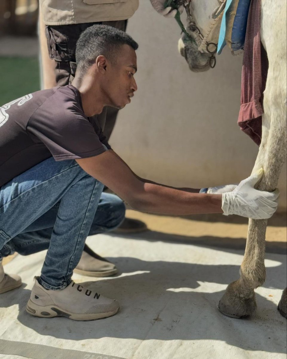 Labellefounded's tweet image. Anyone who knows me in real life or online knows how much I love animals and love treating and taking care of them. I had an idea, but I developed it into something that I raised my sons to love animals,  Please do consider helping by donating. paypal.com/donate?hosted_…