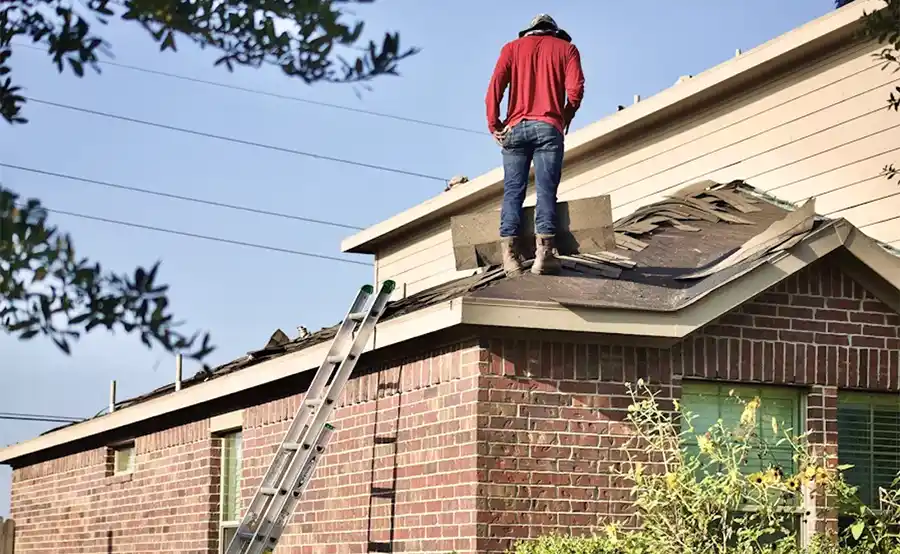 Voor kwaliteit en betrouwbaarheid laat je dakwerken best door een echte specialist uitvoeren: Een goed dak boven uw hoofd is essentieel voor de bescherming en duurzaamheid van uw woning. In de regio Utrecht zijn er talloze mogelijkheden om uw dak in… dlvr.it/TFw79Y