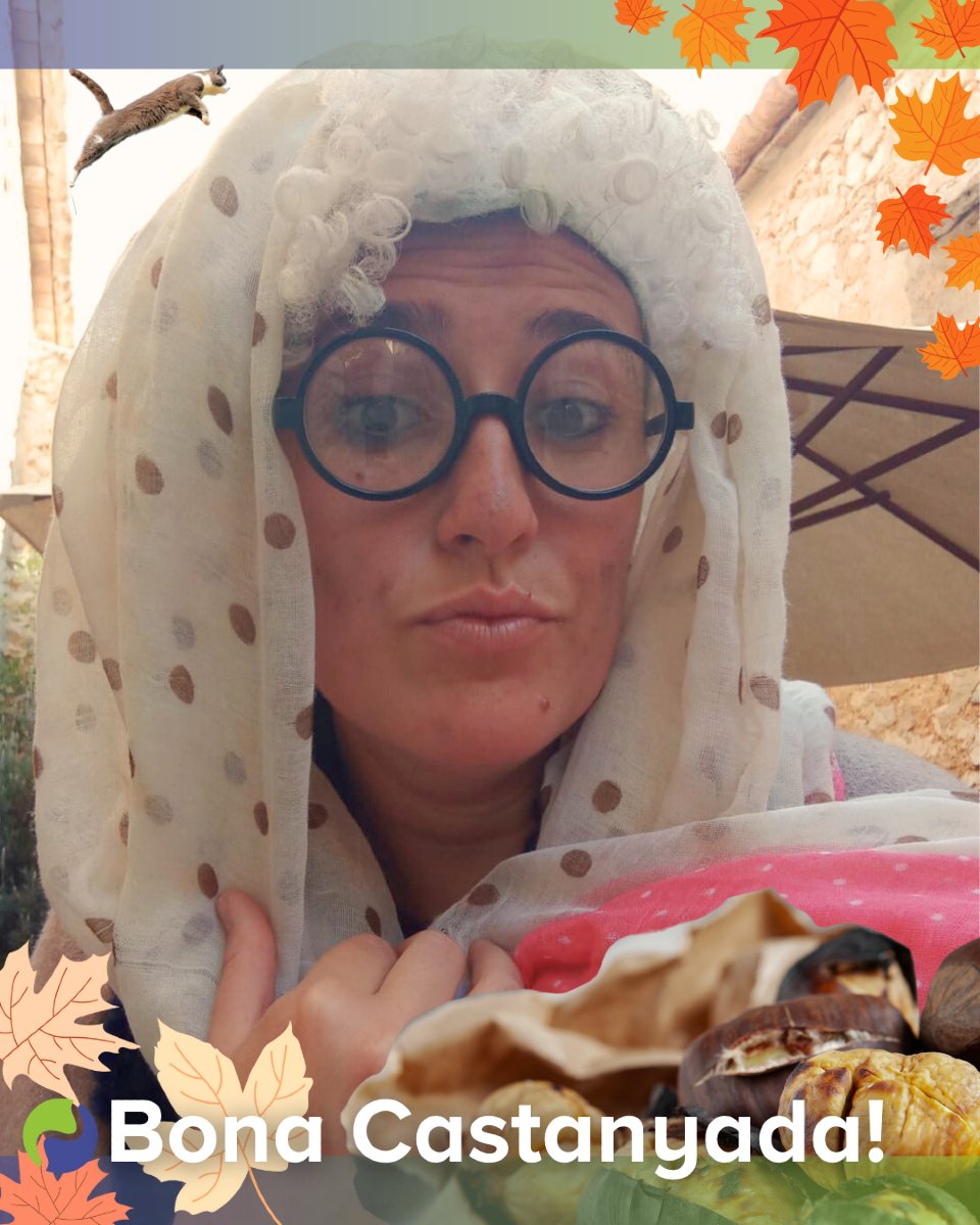 DescOberta_pro's tweet photo. Ara si, la Maria Castanyera ja ha trobat totes les castanyes i ens envia aquest selfie abans de posar-se a menjar-ne amb el marrameu a la falda🐈‍⬛, també te la taula plena de moniatos i panellets a la masia🍠! 

Moltes gràcies escoles per la vostra ajuda!

Bona castanyada! 🌰 https://t.co/8bZ7x7DWnq