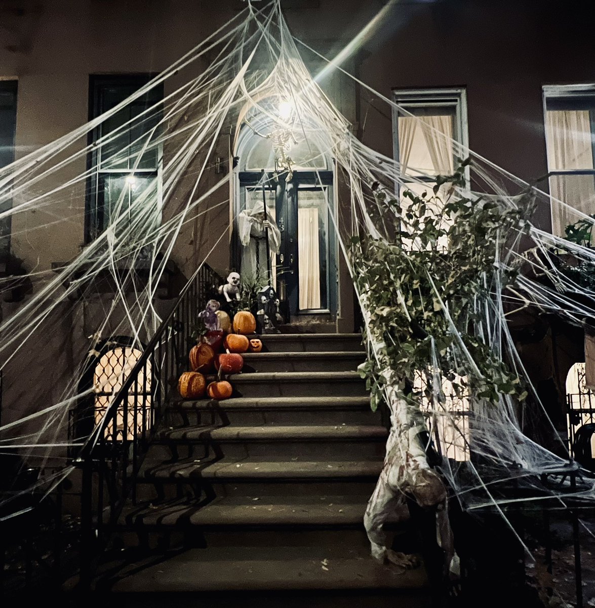 Prof. Gillian O'Brien tweet media