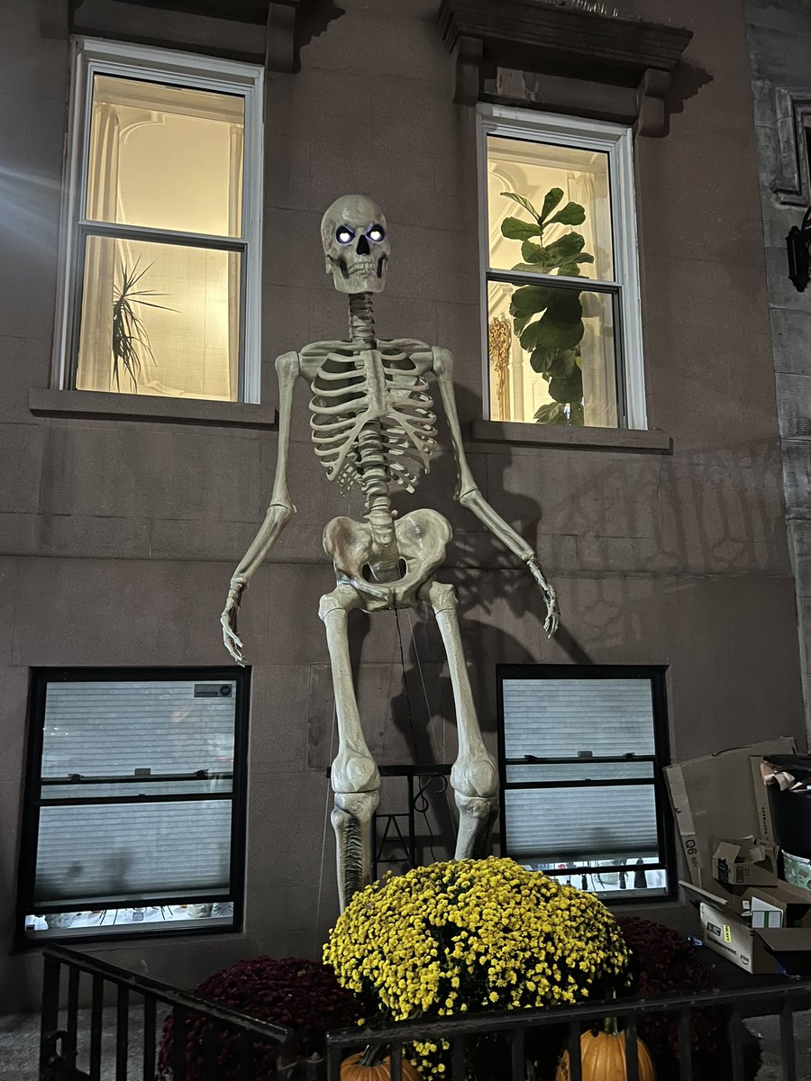 Prof. Gillian O'Brien tweet media