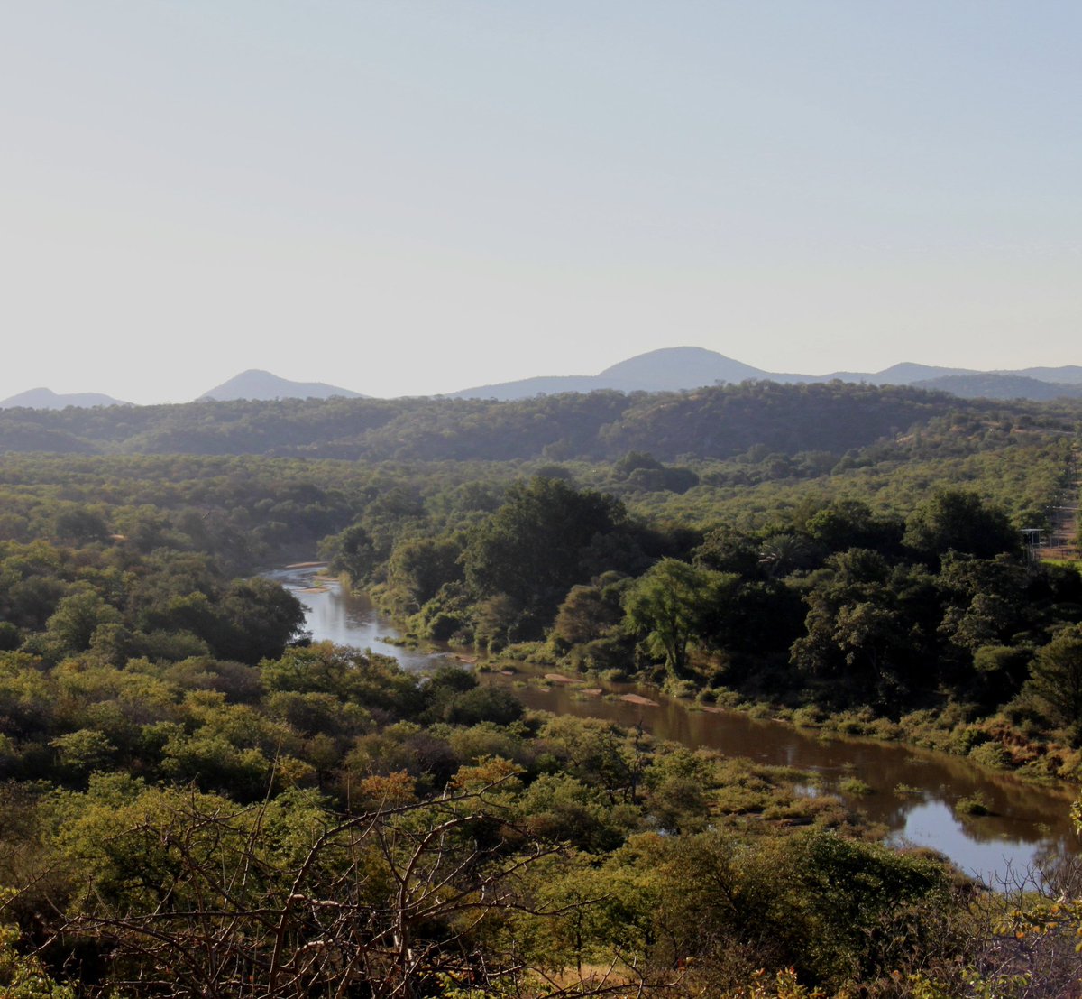 WildlandsSA tweet media