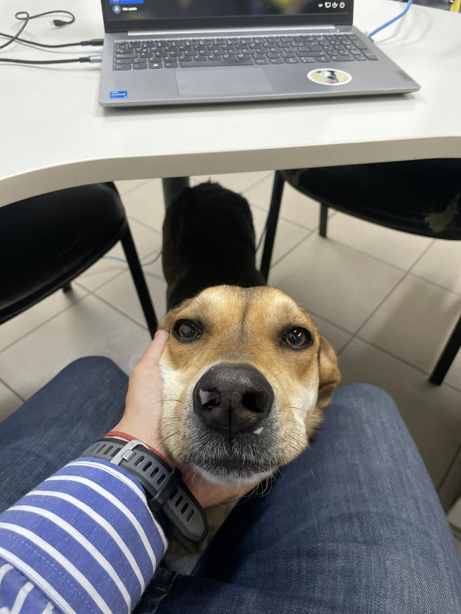 Esta chica apareció en mi oficina muerta de cansancio, hambre y sed. La tengo a resguardo para que descanse y se recupere un poco pero necesito un tránsito en Neuquén porque, evidentemente, está en la calle. Me ayudan con un RT?