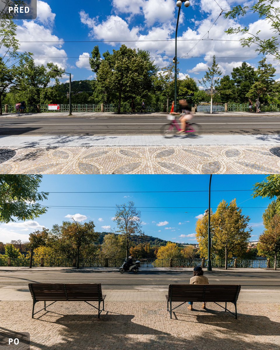 ROSTOU JAKO Z VODY | Smetanovo nábřeží je jedním z prostranství, která v nedávné době prošla proměnou. Součástí jeho revitalizace byla i výsadba nových stromů. Díky správné výsadbě a zavlažovacímu systému, který vede dešťovou vodu ke kořenům, se stromům daří, dobře a rychle