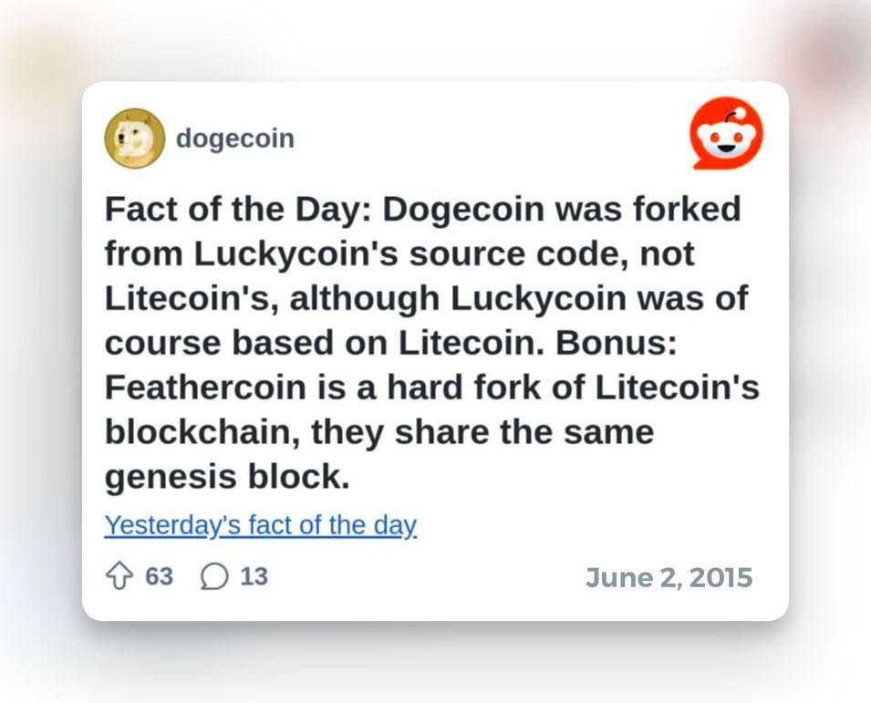 Luckycoin 🍀 tweet media