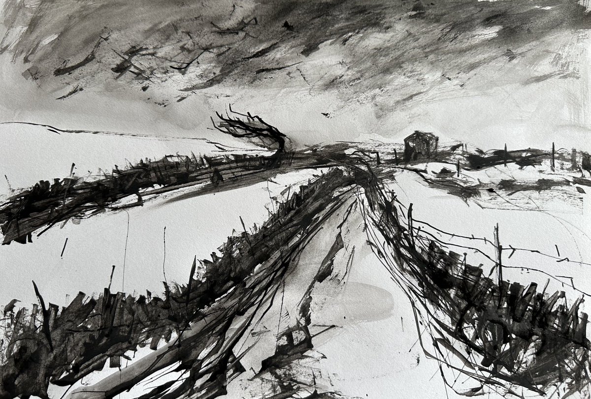 staithesartist's tweet image. The Lane #bamboostick #ink #markmaking #sketch #noir #winter #landscape #workshop #Chatsworth This Saturday!