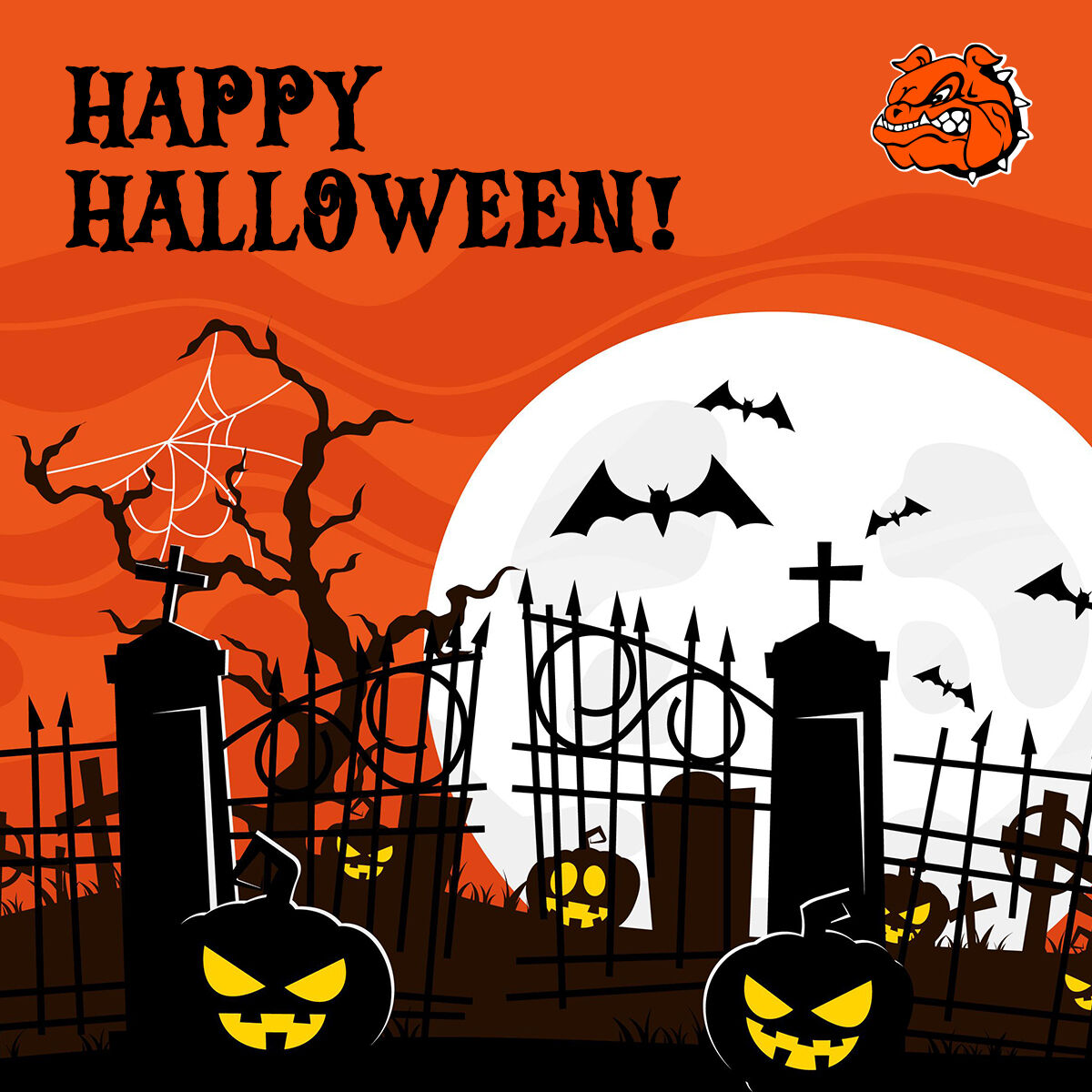 Happy Halloween! 

We would love to see your costumes, share them with us below 📸