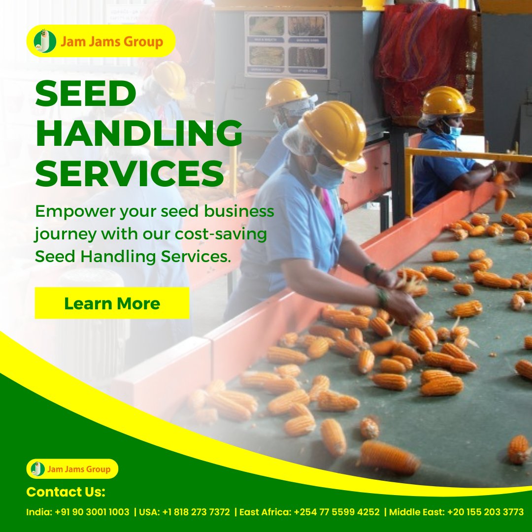 seedsprocessing's tweet photo. Operate leaner, more economically, and with a heightened focus on your core competencies. Empower your seed business journey with cost-saving our Seed Handling Services. #seedindustry #seedcompanies #seedprocessing #seedcoldstorages #seeddryer #seedtestinglabs #turnkeysolutions https://t.co/uZ3hbKMQav