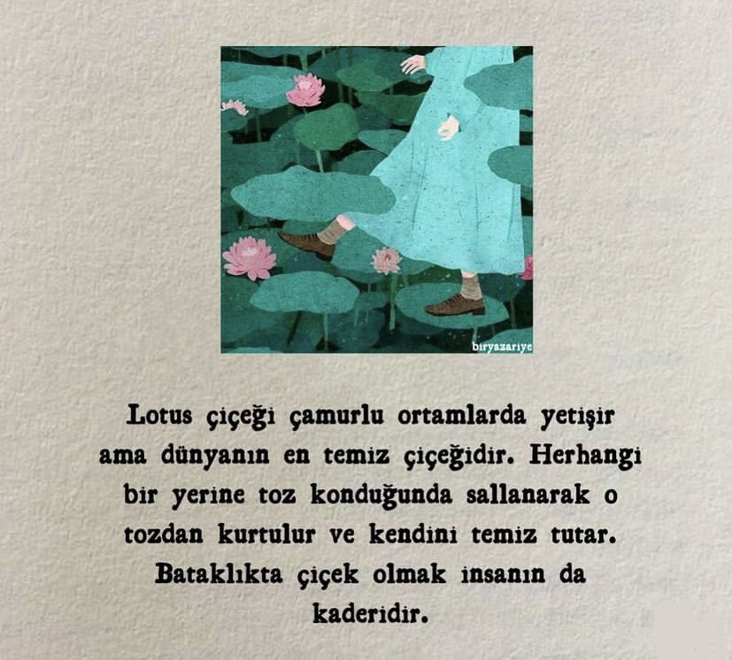 Philosophy. (@ikincisatir1) on Twitter photo 