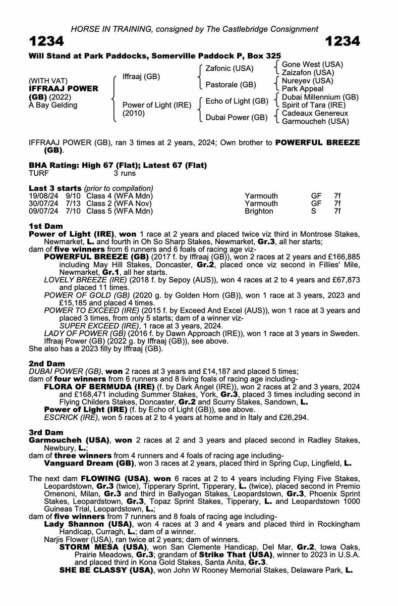 Ander Suescun Ochandorena tweet media