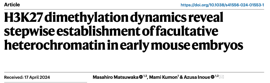 Azusa Inoue | 井上梓 (@a_z_usa__) on Twitter photo Our new paper is out <a href="/NatureCellBio/">Nature Cell Biology</a>🥳It shows how major epigenetic OFF mark, H3K27me3, is newly established at the beginning of life. This work was mainly carried out by a talented PhD student, Masahiro Matsuwaka👏
nature.com/articles/s4155…
rdcu.be/dYJf
Short summary↓↓ Our new paper is out <a href="/NatureCellBio/">Nature Cell Biology</a>🥳It shows how major epigenetic OFF mark, H3K27me3, is newly established at the beginning of life. This work was mainly carried out by a talented PhD student, Masahiro Matsuwaka👏
nature.com/articles/s4155…
rdcu.be/dYJf
Short summary↓↓