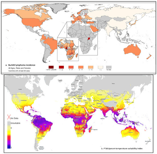 Hemato MDPI (@hemato_mdpi) on Twitter photo #eidtorchoice #article
Burkitt #Lymphoma Incidence in Five Continents by Dr. Sam M. Mbulaiteye  <a href="/SMbulaiteye/">Sam M Mbulaiteye</a> and Dr.  Susan S. Devesa
Welcome to Read! 
mdpi.com/2673-6357/3/3/… #eidtorchoice #article
Burkitt #Lymphoma Incidence in Five Continents by Dr. Sam M. Mbulaiteye  <a href="/SMbulaiteye/">Sam M Mbulaiteye</a> and Dr.  Susan S. Devesa
Welcome to Read! 
mdpi.com/2673-6357/3/3/…