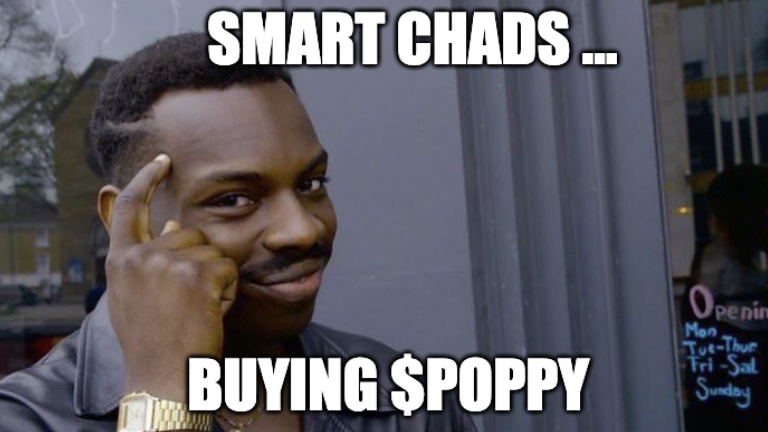 poppyonsui's tweet photo. And you do you buy $POPPY? 🦭

https://t.co/5RDSZ8WefG

#POPPY #SUI #MEMECULT #MOONSHOT #MEME https://t.co/ZdcxZxoV5D