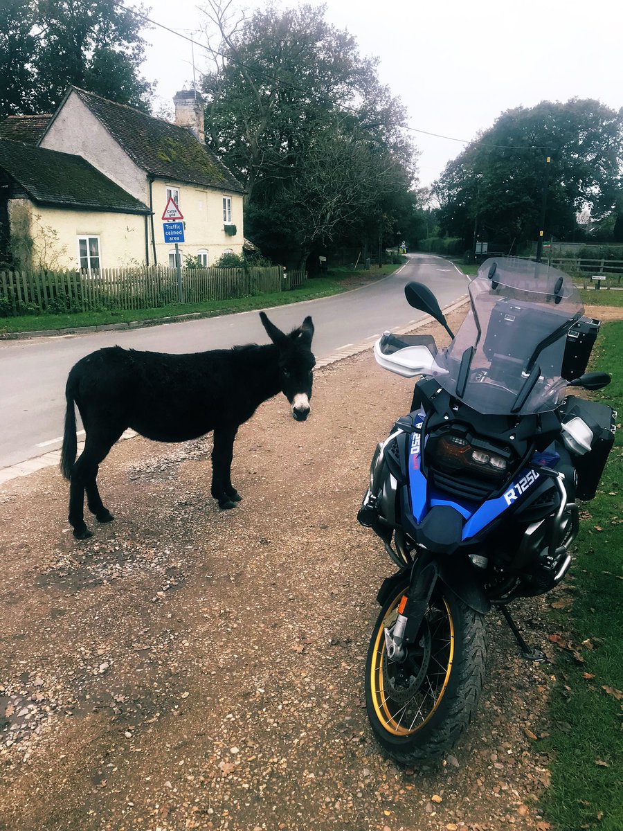 Advanced Plus Trg tweet media