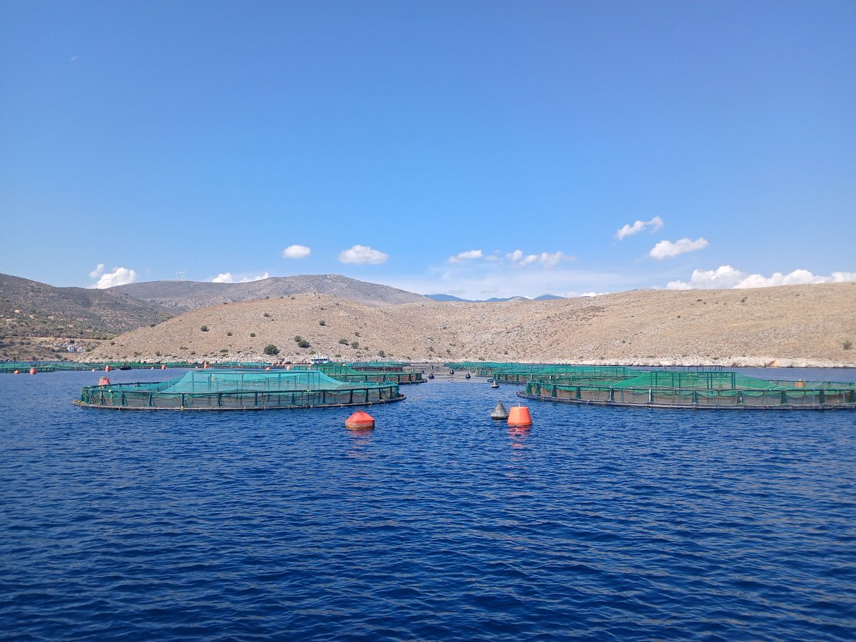 Last month our Greece Discovery Tour gave seafood buyers and reporters a unique opportunity to visit farms to see for themselves the story behind ASC certified farms. Learn more: asc-aqua.org/news/asc-greec…
