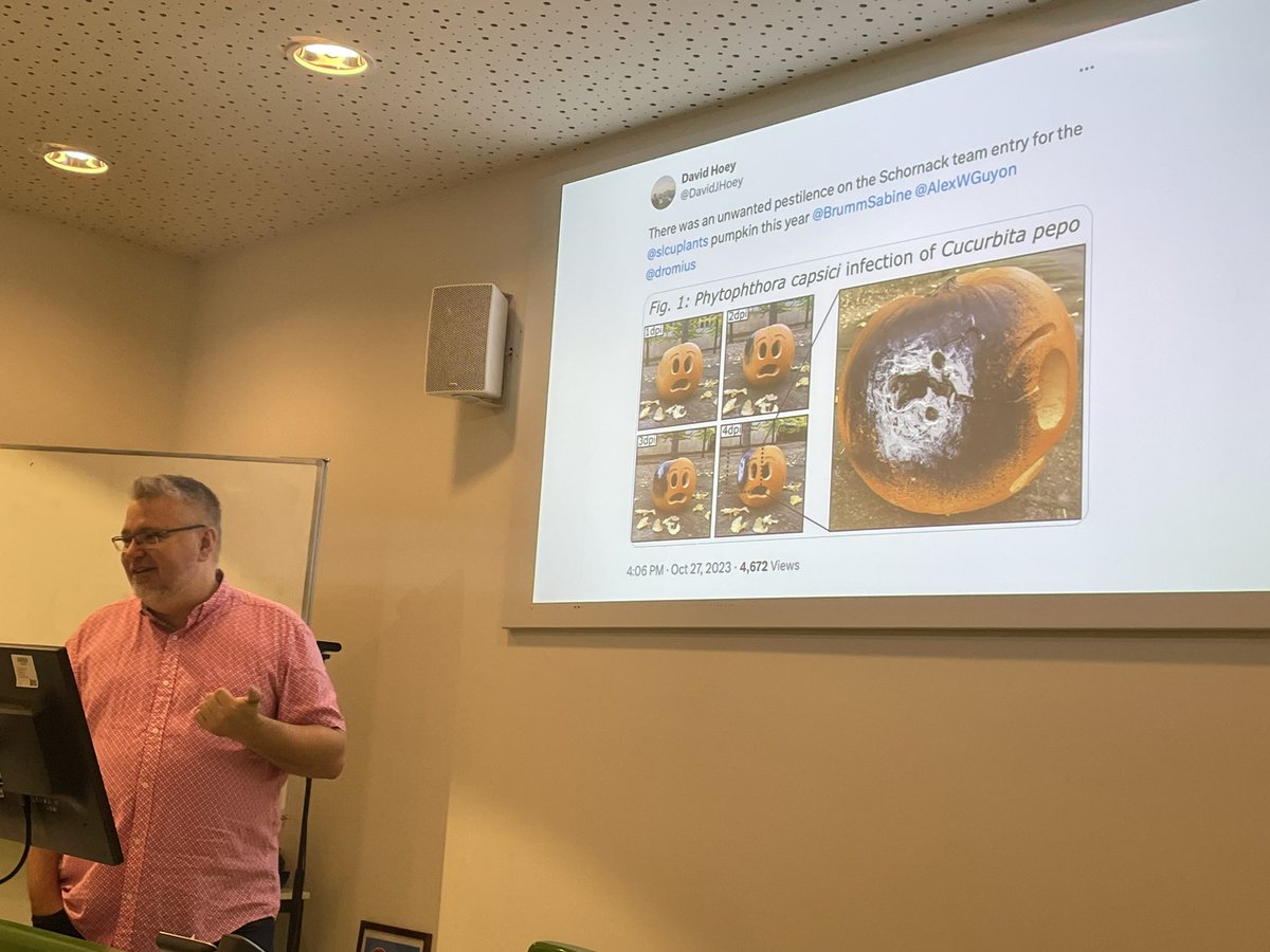 Plant Stress Biology Leiden (@plantstressbiol) on Twitter photo Thanks for sharing such wonderful work w/ us. Learning a lot from <a href="/dromius/">Sebastian Schornack</a> today about P. palmivora as a system to study host-microbe interactions & and happy #holloween
Interesting (co-)evolution of SCAR proteins in plants - preprint: doi.org/10.1101/2024.1… Thanks for sharing such wonderful work w/ us. Learning a lot from <a href="/dromius/">Sebastian Schornack</a> today about P. palmivora as a system to study host-microbe interactions & and happy #holloween
Interesting (co-)evolution of SCAR proteins in plants - preprint: doi.org/10.1101/2024.1…